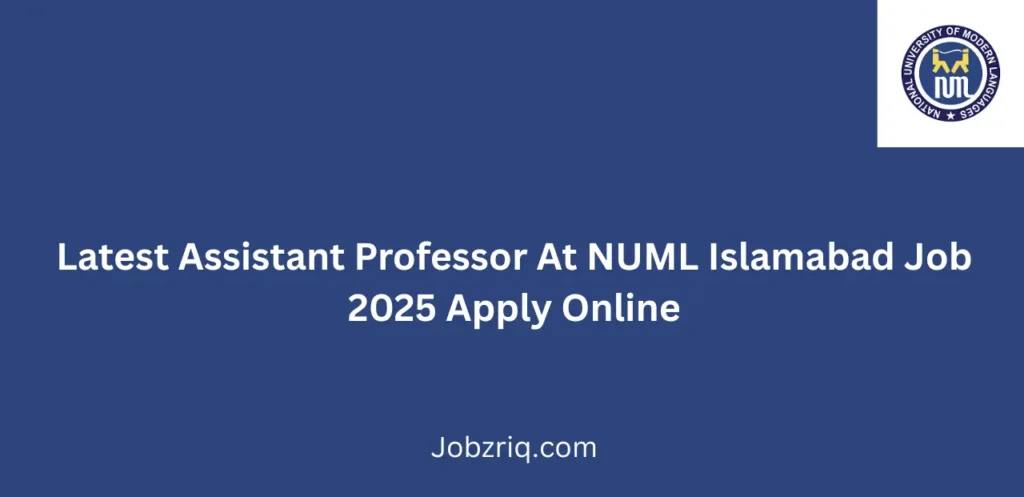 Latest Assistant Professor At NUML Islamabad Job 2025 Apply Online